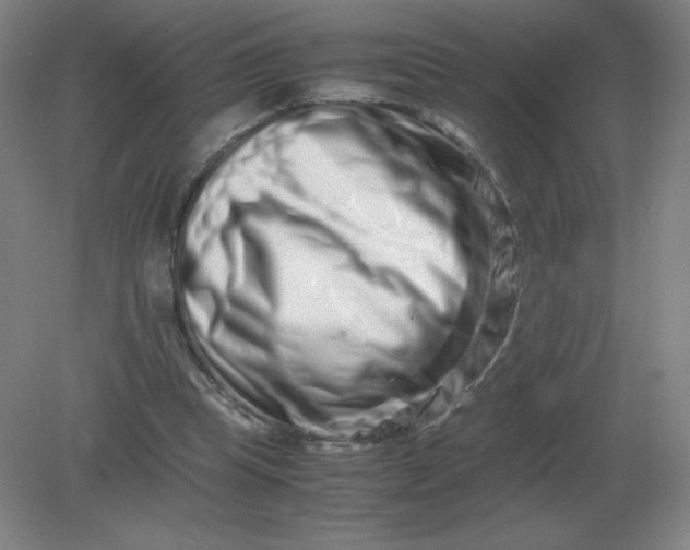 X0000082200345200702021850