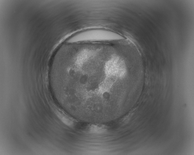 X0000082200346200702021850