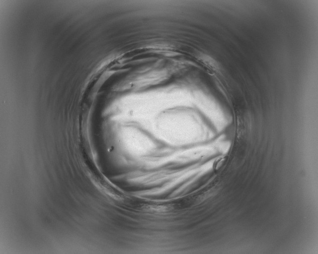 X0000082200349200702021850