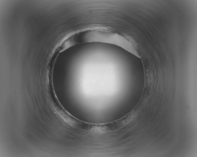 X0000082200350200702021850