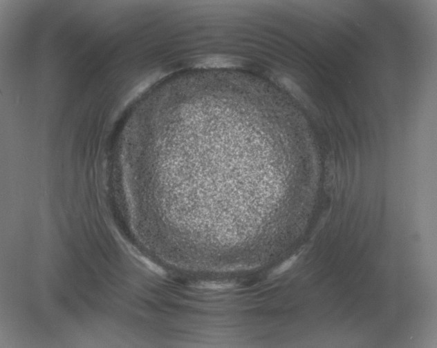 X0000082200351200702021850