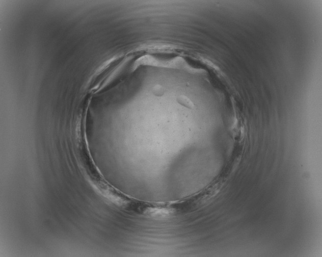 X0000082200352200702021850