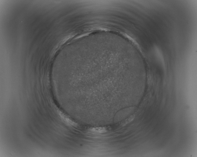 X0000082200353200702021850