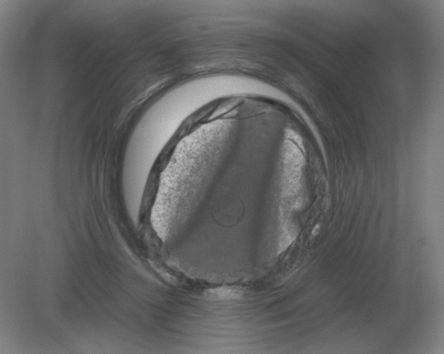 X0000082200356200702021850