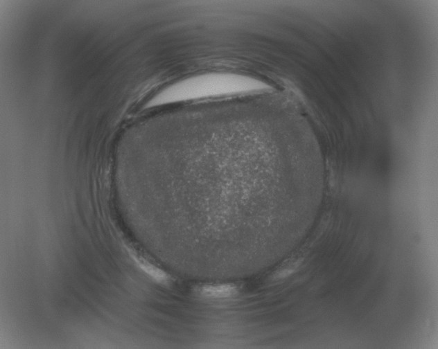 X0000082200357200702021850