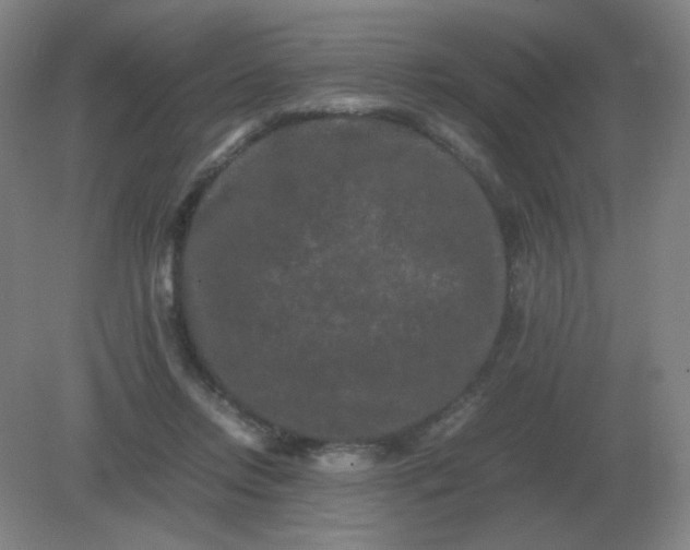 X0000082200358200702021850