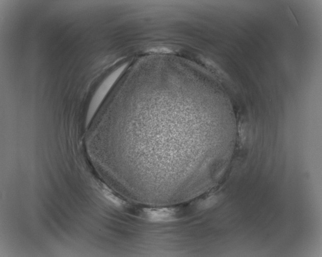 X0000082200359200702021850