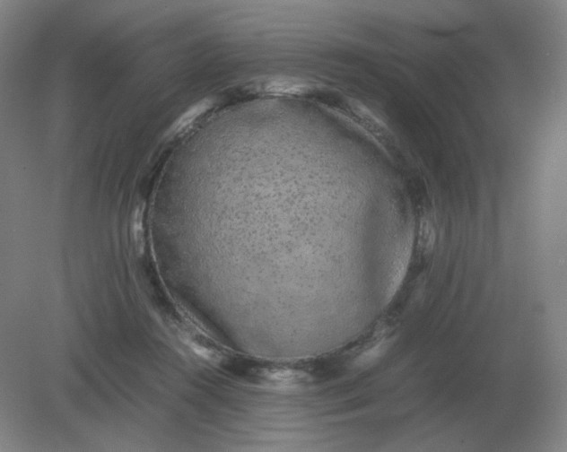 X0000082200360200702021850