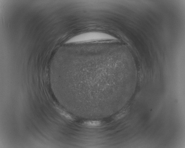 X0000082200361200702021850