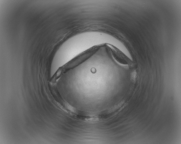 X0000082200362200702021850