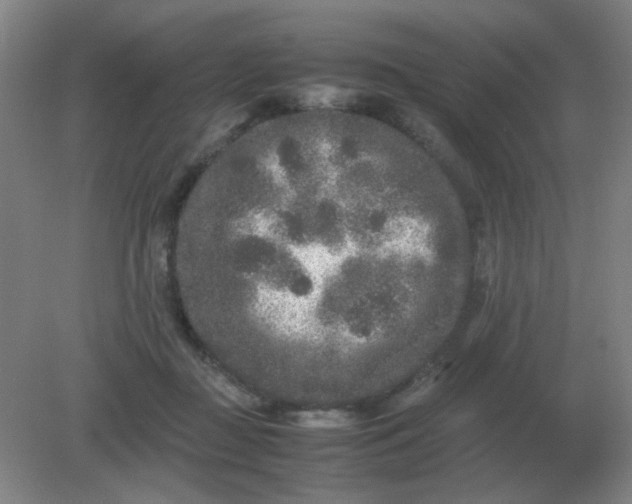 X0000082200363200702021850