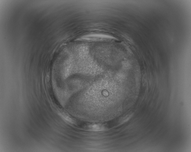 X0000082200365200702021850