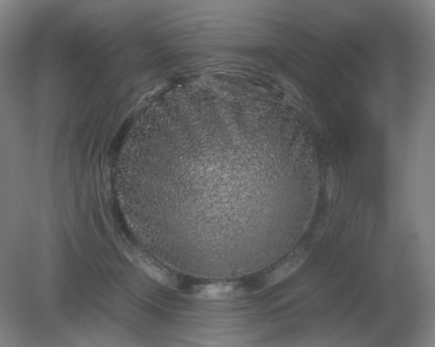 X0000082200366200702021850