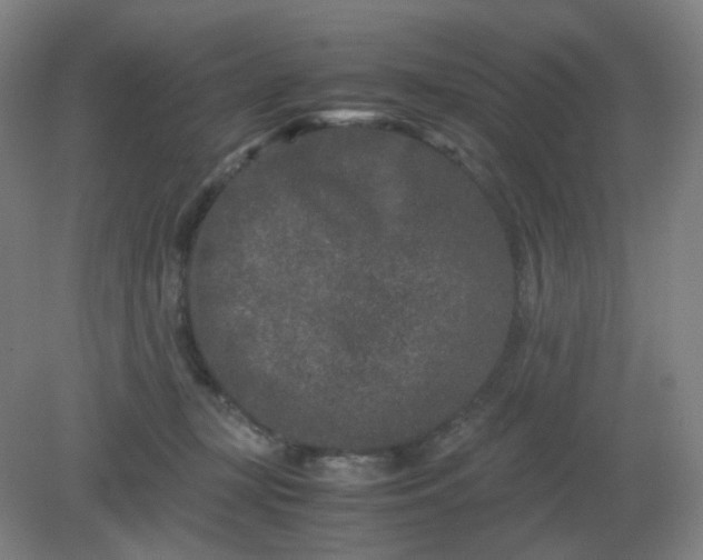 X0000082200367200702021850