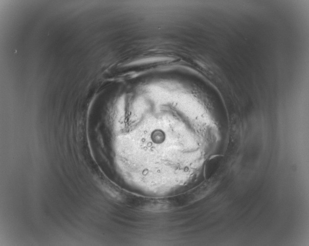 X0000082200369200702021850