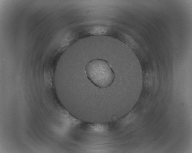 X0000082200370200702021850