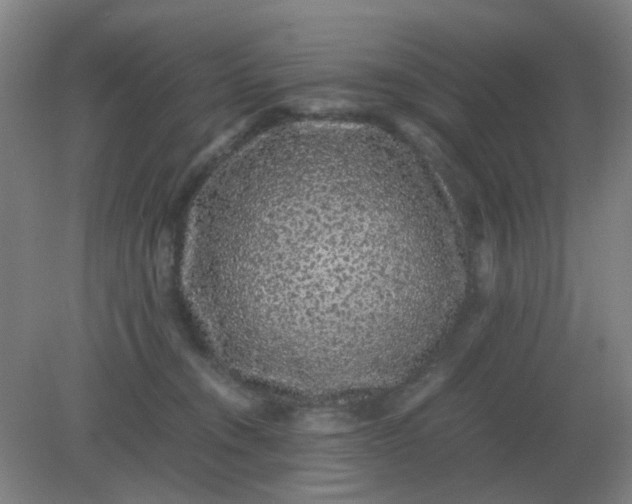 X0000082200372200702021850