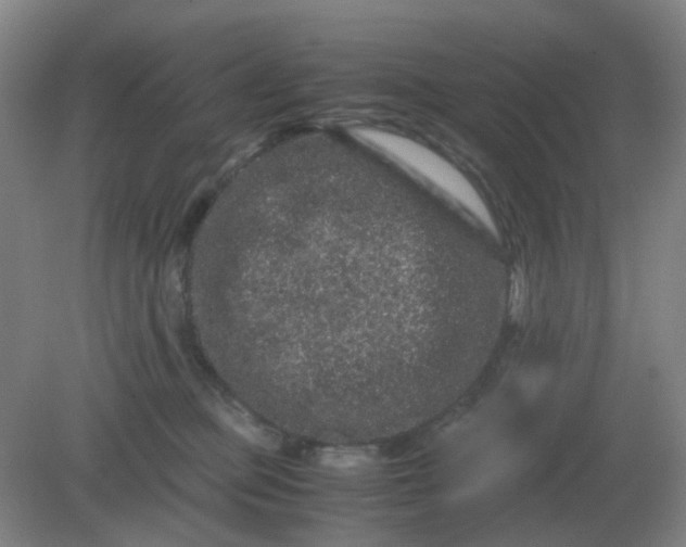 X0000082200373200702021850