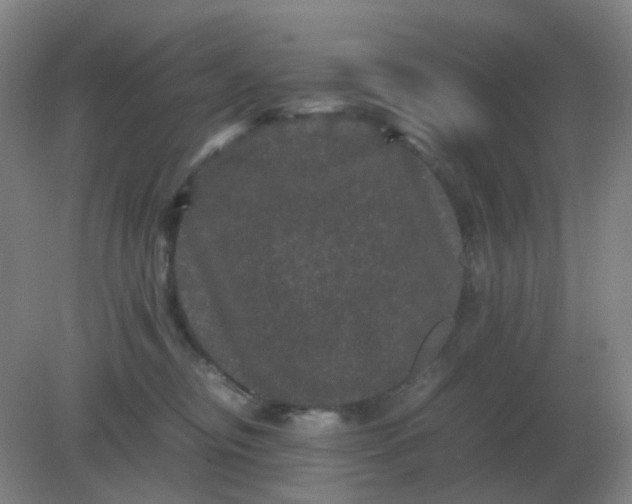 X0000082200374200702021850