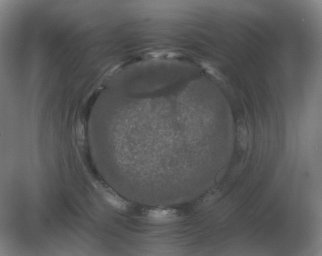 X0000082200375200702021850