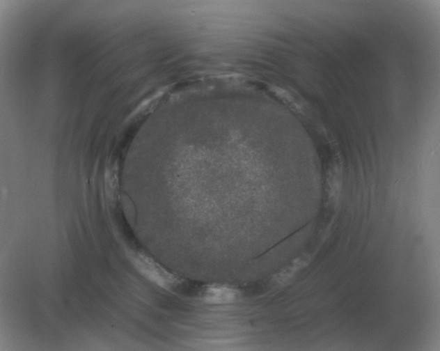 X0000082200376200702021850