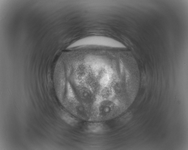 X0000082200377200702021850