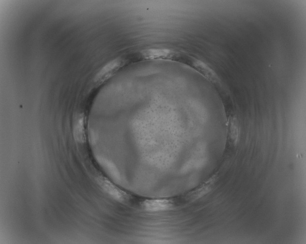 X0000082200378200702021850