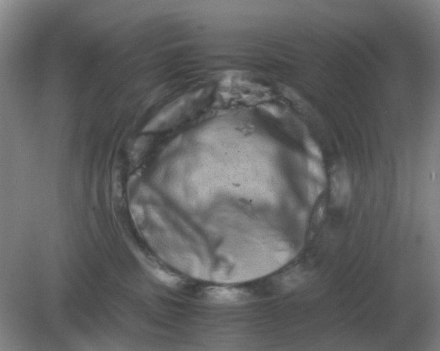 X0000082200379200702021850