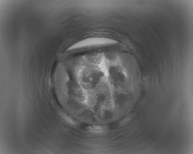 X0000082200381200702021850