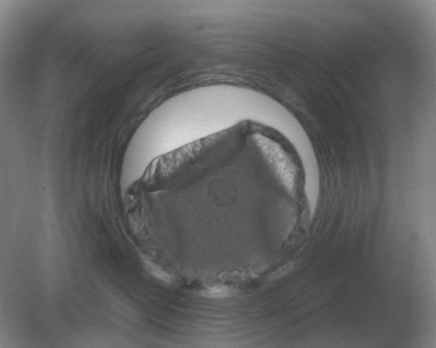 X0000082200382200702021850