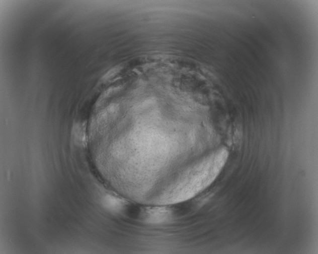 X0000082200383200702021850