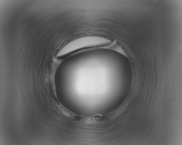 X0000082200384200702021850