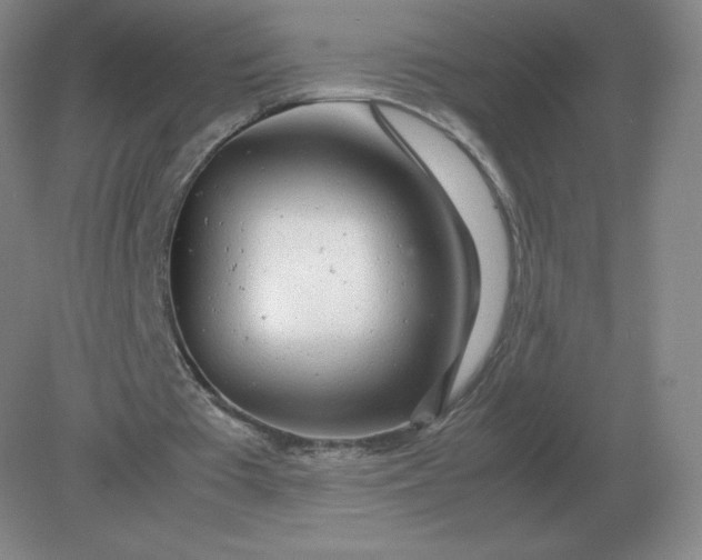 X0000082200385200702021850