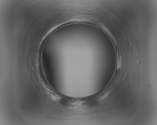 X0000082200387200702021850