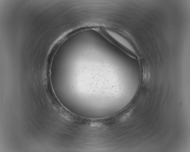 X0000082200388200702021850