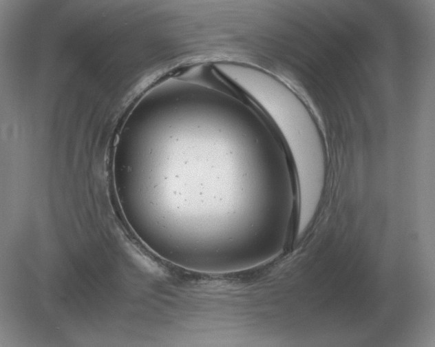 X0000082200389200702021850