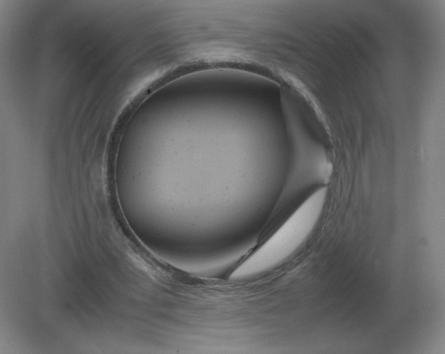 X0000082200391200702021849