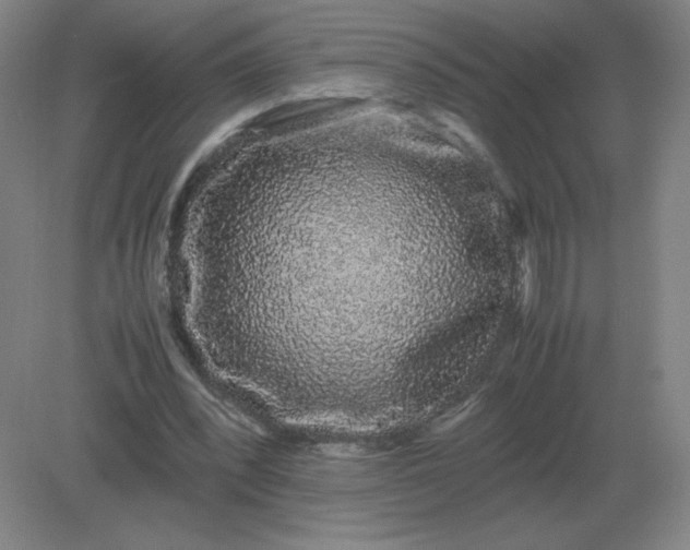 X0000082200392200702021849