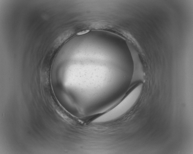 X0000082200393200702021849