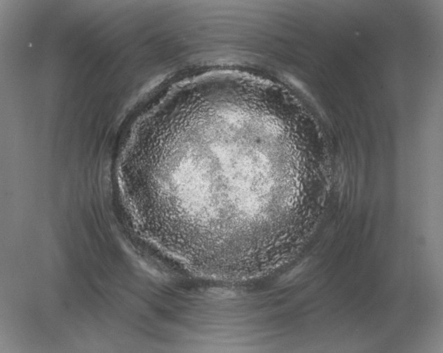 X0000082200394200702021849