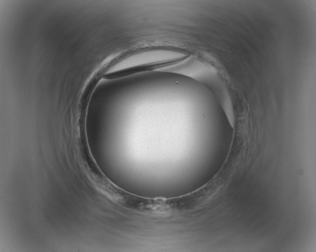 X0000082200395200702021849