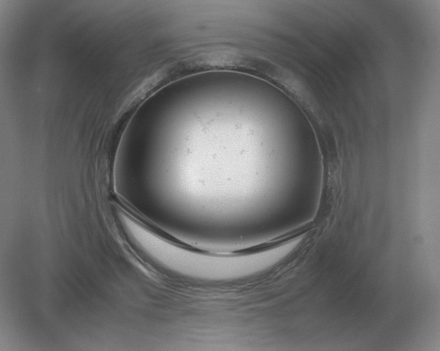 X0000082200397200702021849