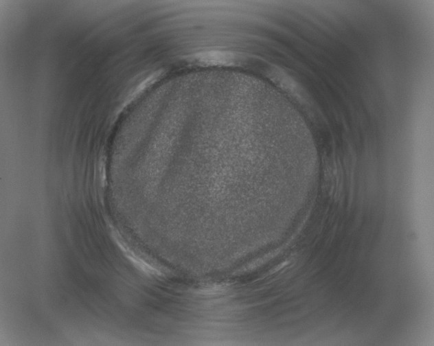 X0000082200398200702021849