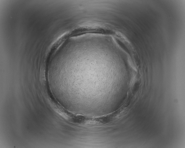 X0000082200399200702021849