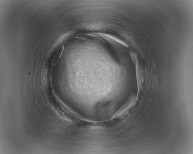 X0000082200400200702021849