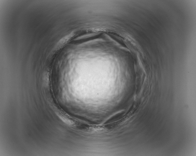 X0000082200401200702021849