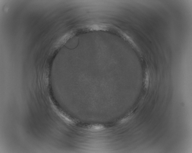 X0000082200402200702021849