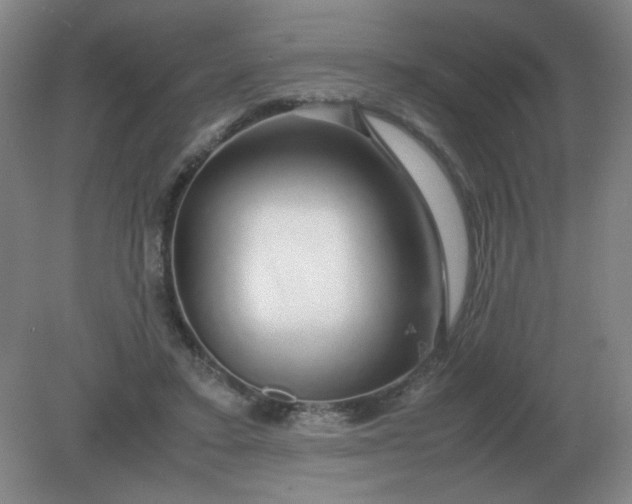 X0000082200403200702021849