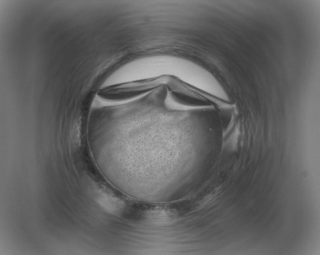 X0000082200404200702021849