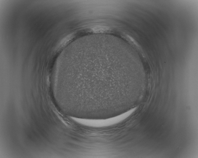 X0000082200405200702021849